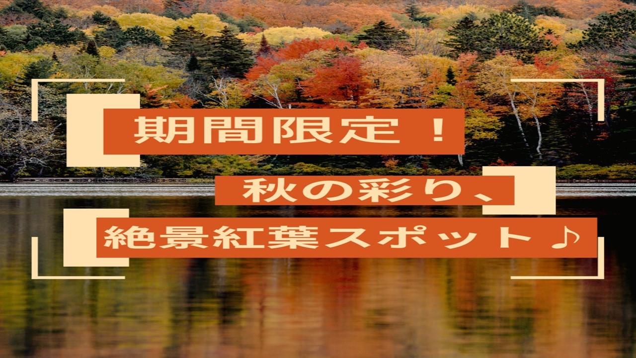 期間限定！秋の彩り、絶景紅葉スポット♪