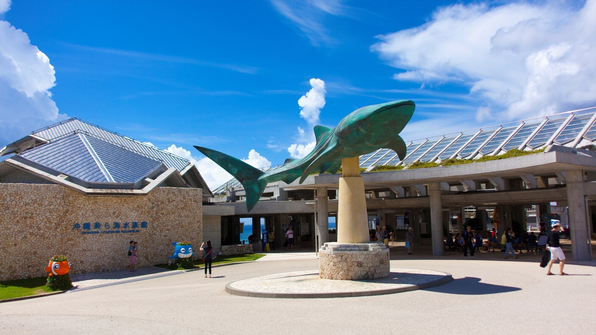 周辺観光/【美ら海水族館】海洋博公園内にあり、ジンベエザメが泳ぐ沖縄を代表する水族館。