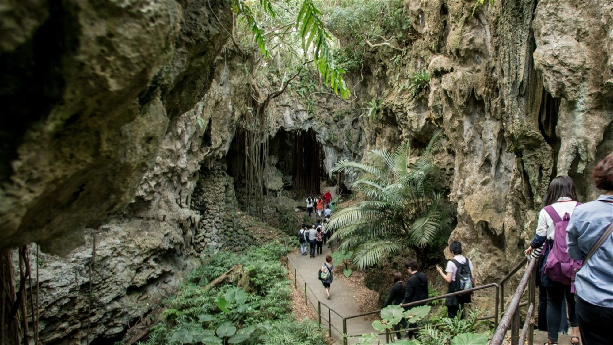 周辺観光/【ガンガラーの谷】亜熱帯の森と鍾乳洞が広がる神秘の谷。自然散策やガイドツアーが人気。