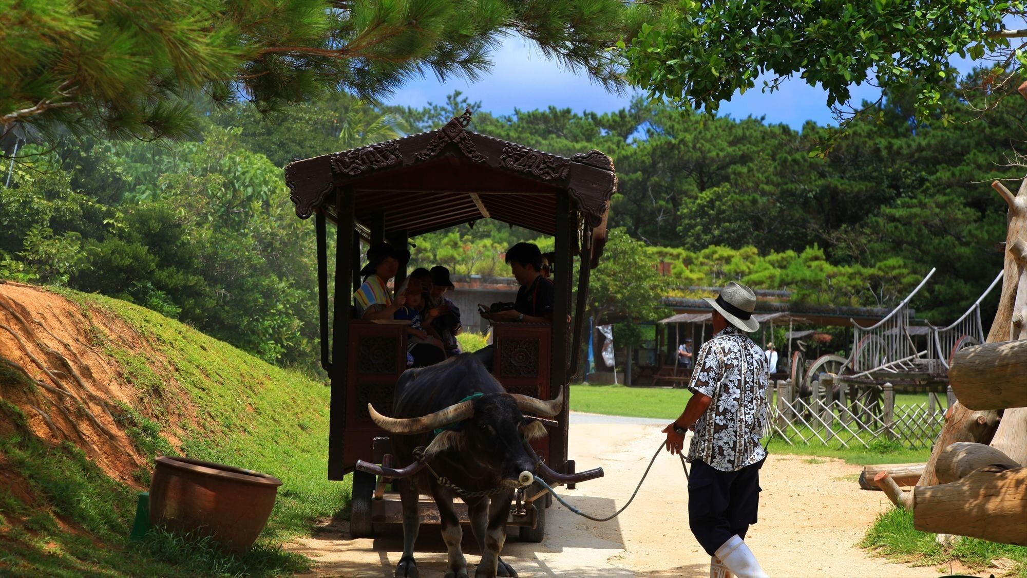 周辺観光/【ビオスの丘】湖水観賞や自然体験が楽しめる植物園。水牛車やカヌー体験も魅力です。