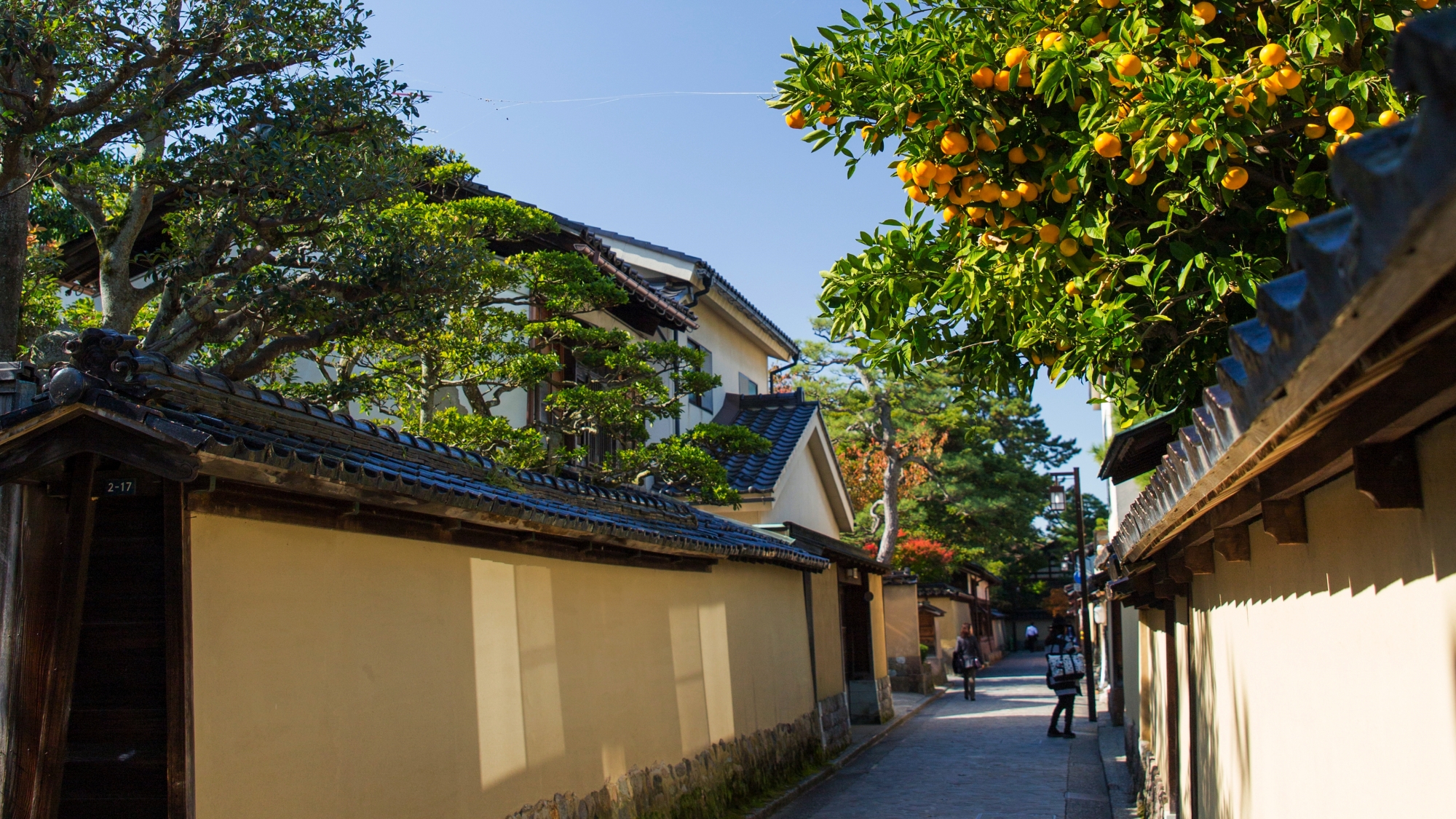 武家屋敷跡・野村家（徒歩9分、バス8分、お車3分）
