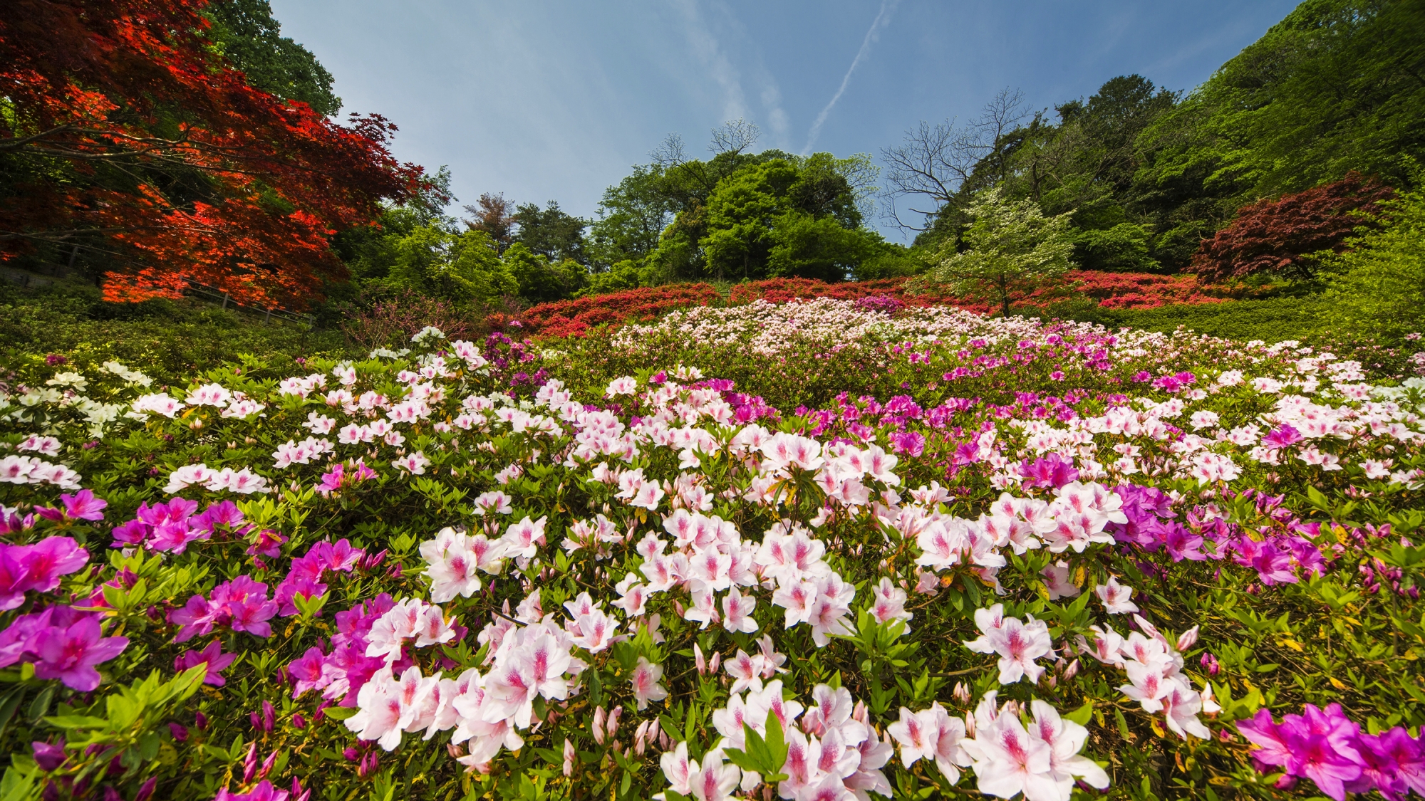 卯辰山・花木園（バス26分、お車9分）