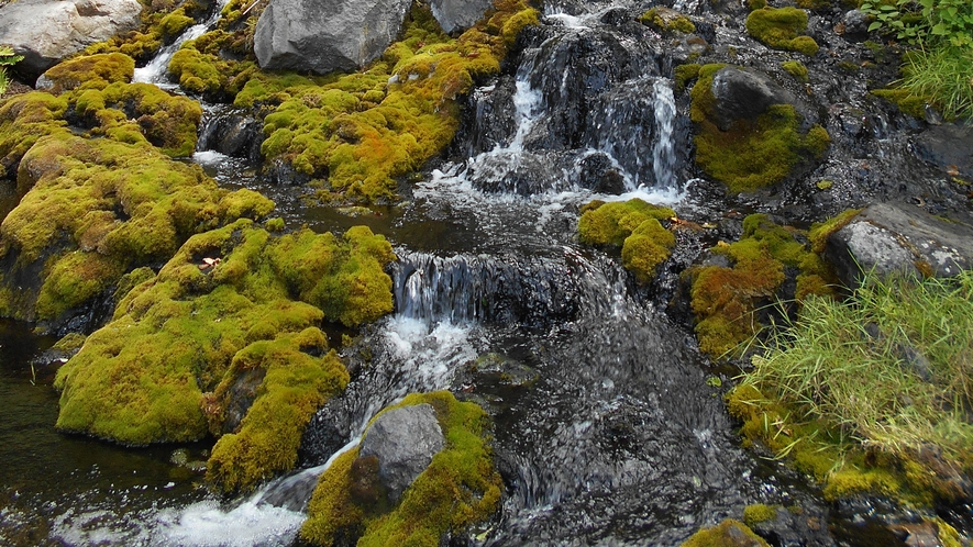 オンネトー湯の滝は、地上で観察できる世界最大のマンガン鉱物生成場所として世界的にも注目されております