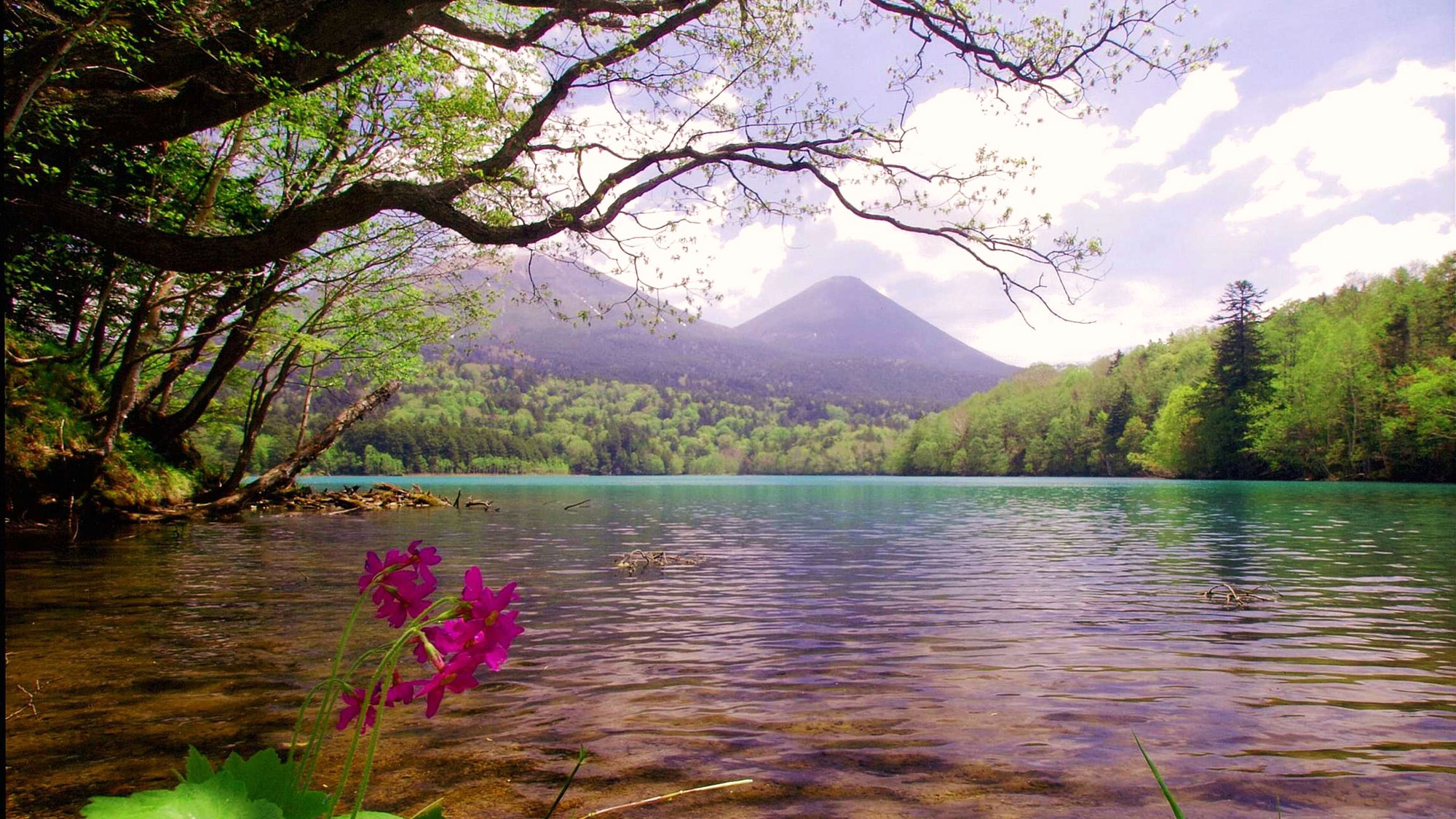 春のオンネトー