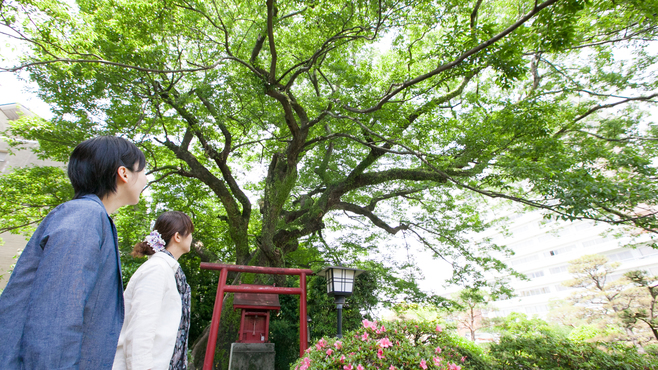 【連泊限定！清掃不要のECOプラン】天然温泉で旅の疲れを癒す♪素泊りプラン