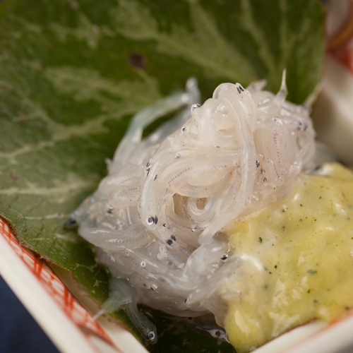 高知城下の天然温泉 三翠園（さんすいえん） - 写真 134