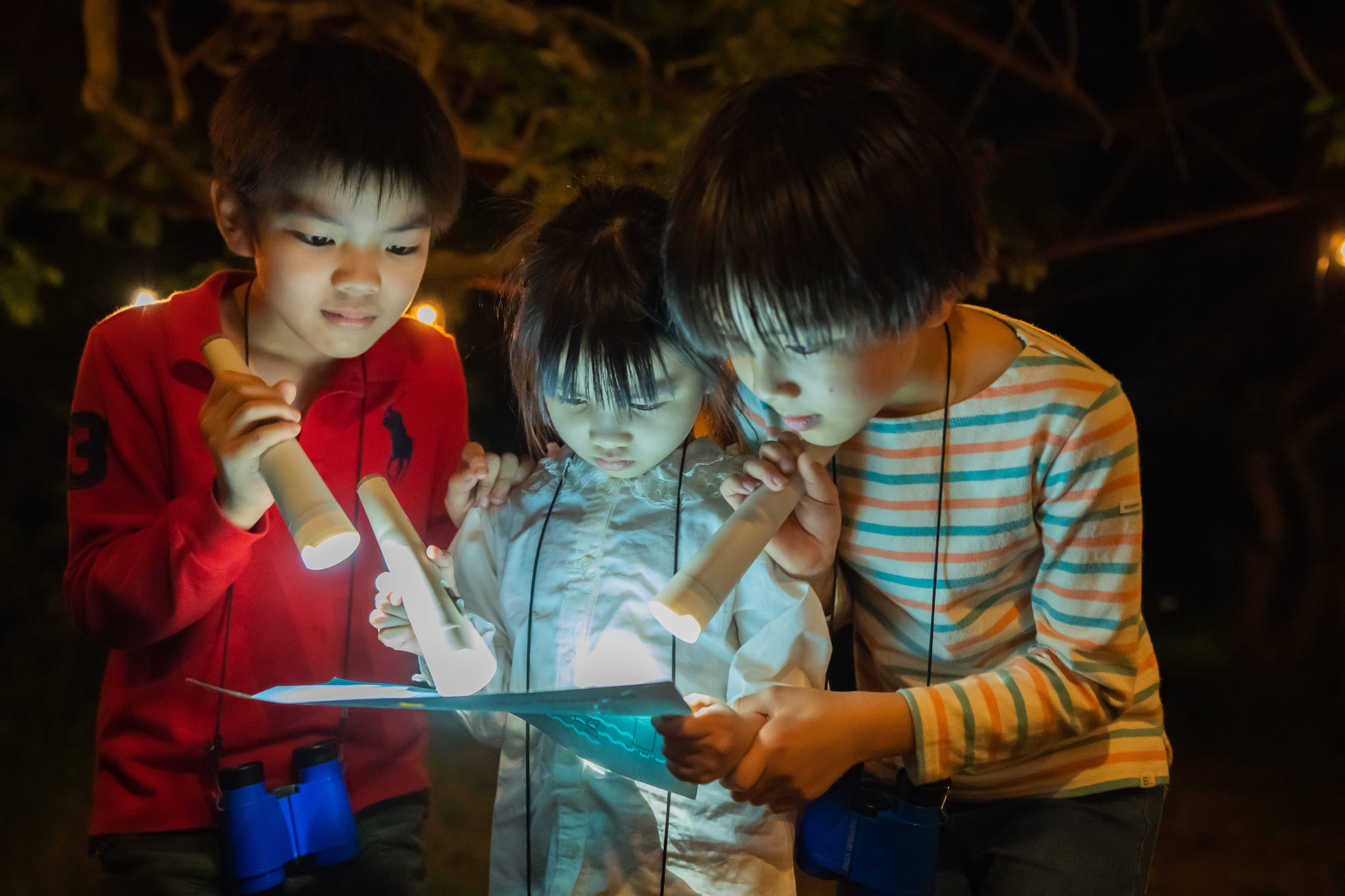 夜の宝探し