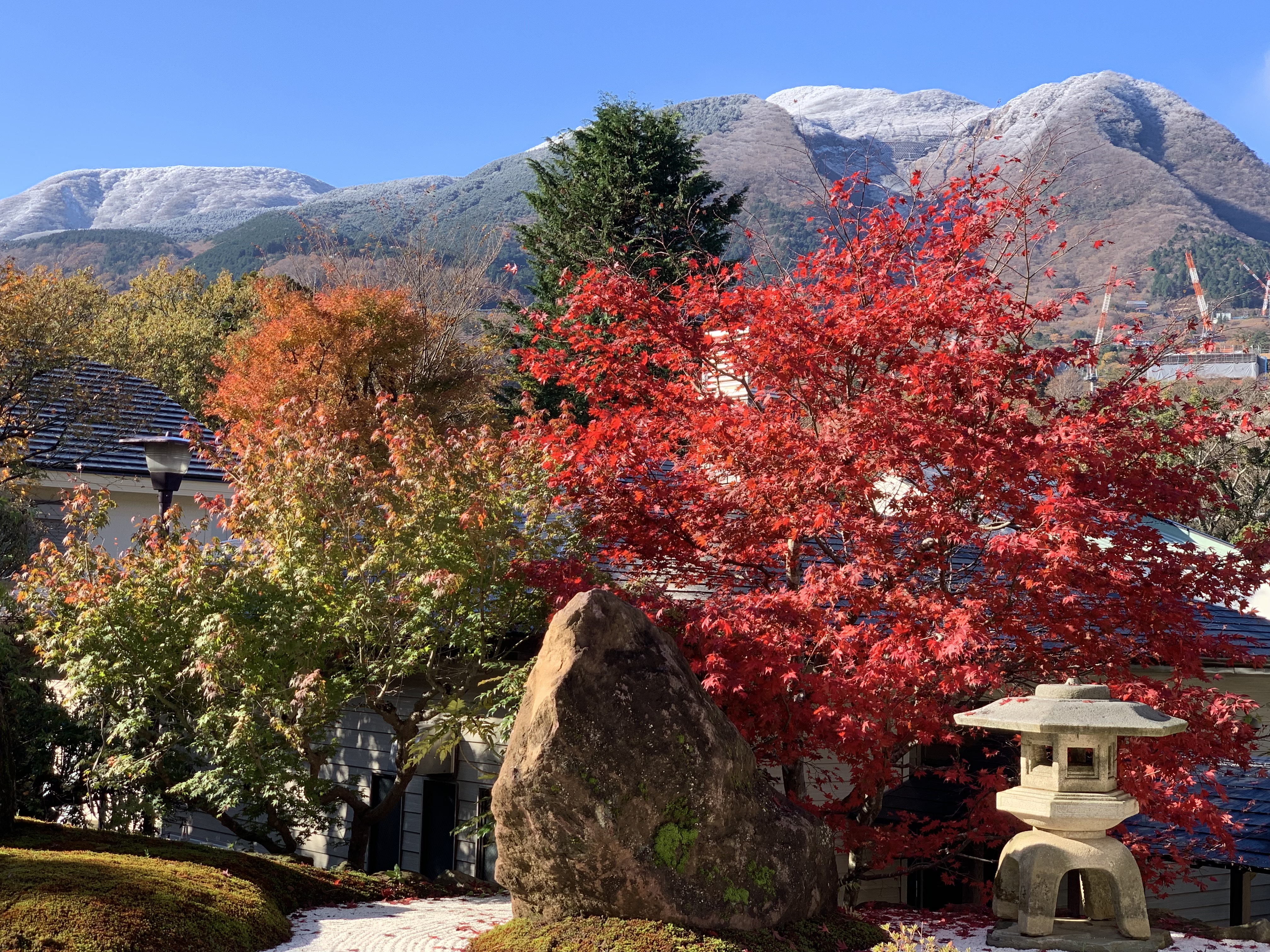 庭園