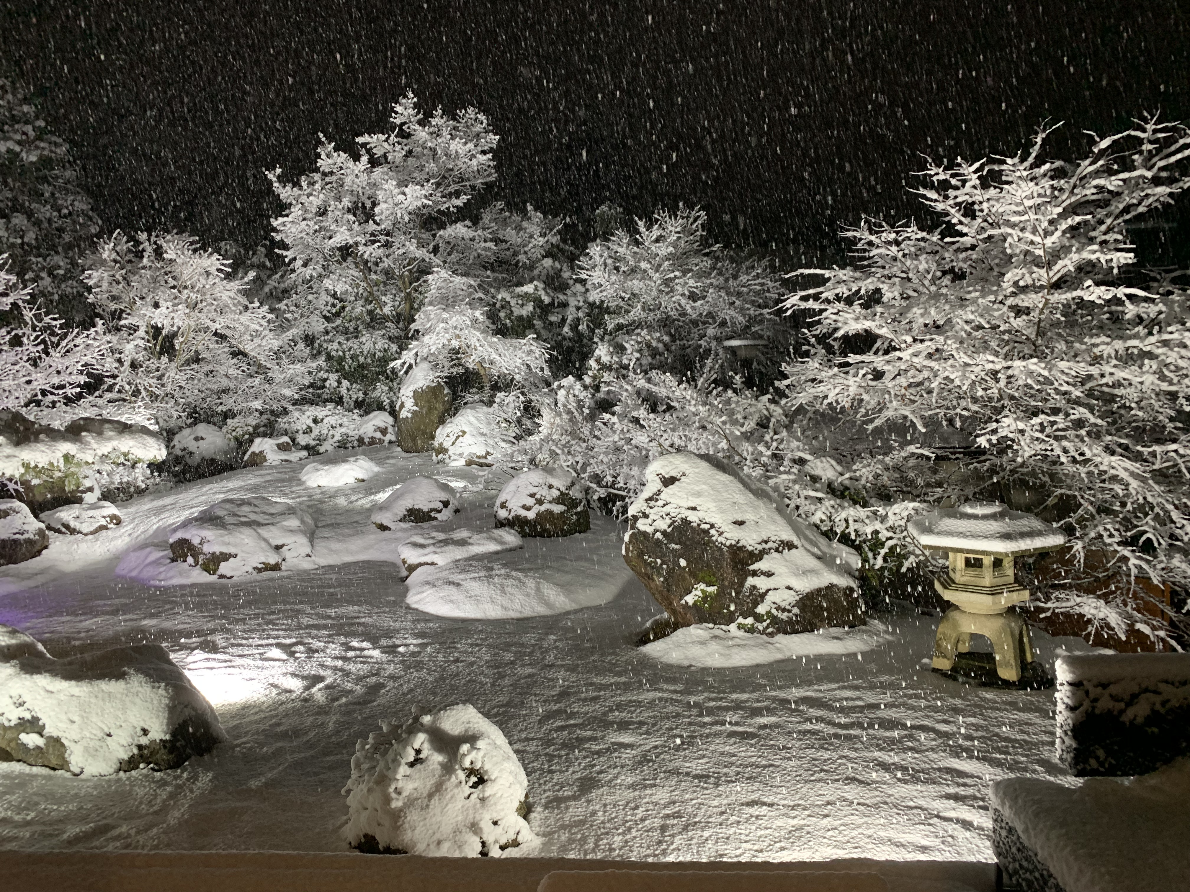 庭園