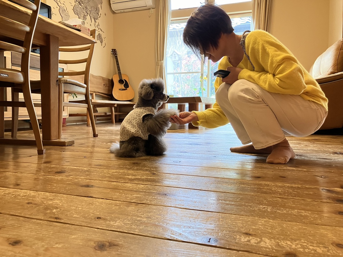 【愛犬と一緒にワン！ダフルナイトを ♪】【朝食付き】東大寺大仏さん・宇治平等院さんへは車で30分圏内