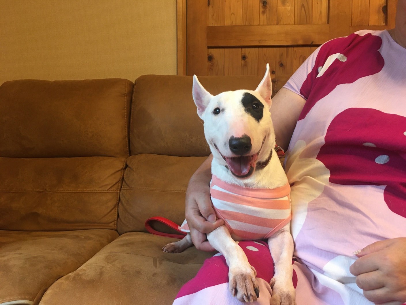 【愛犬と一緒にワン！ダフルナイトを ♪】【朝食付き】東大寺大仏さん・宇治平等院さんへは車で30分圏内