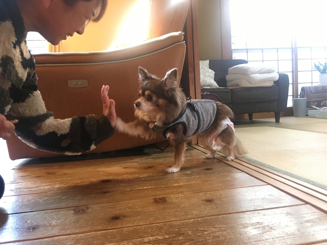 ハイたーっち!