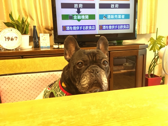 初めてのお泊りだワン!!