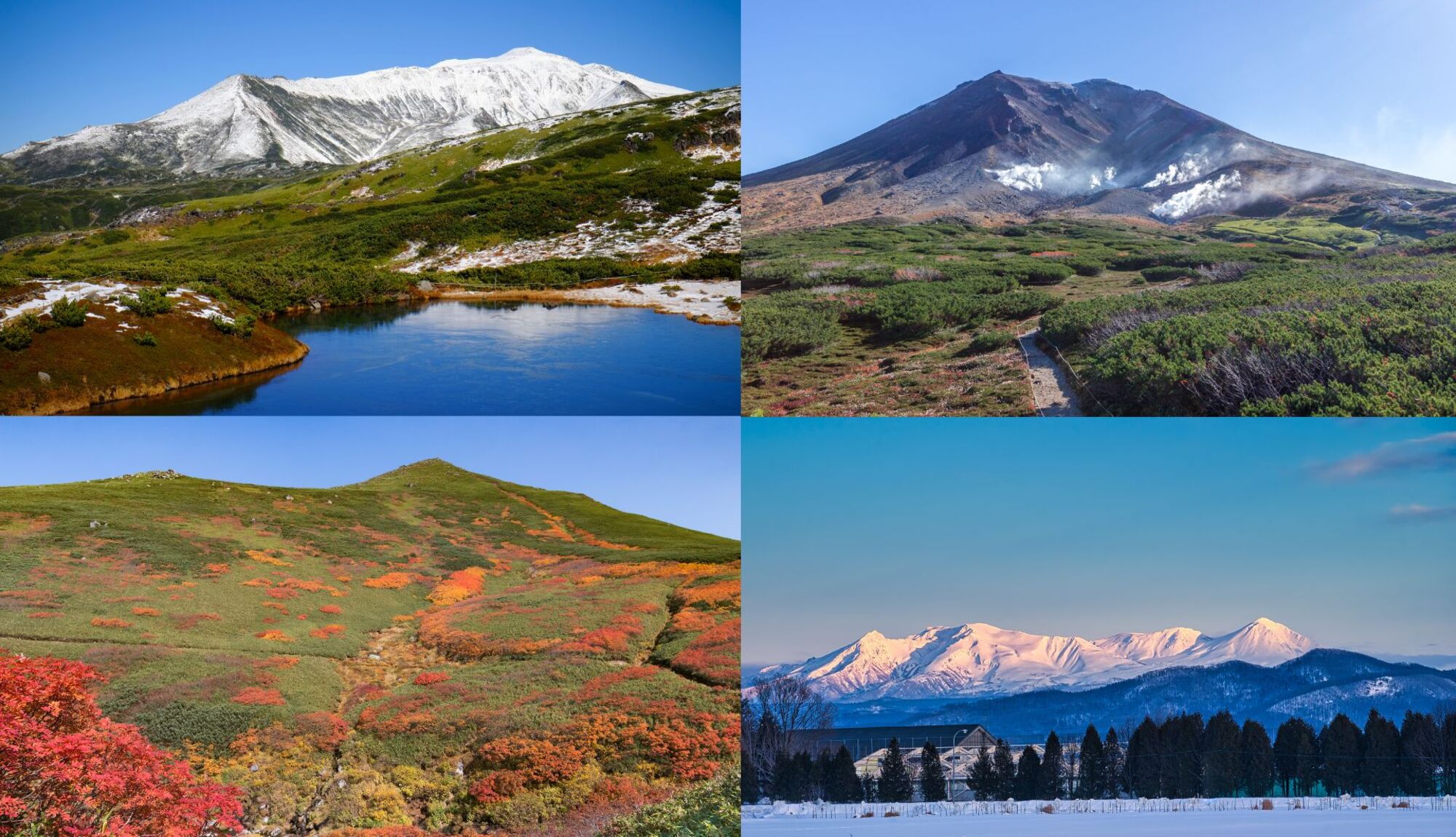 四季の変化が美しい旭岳