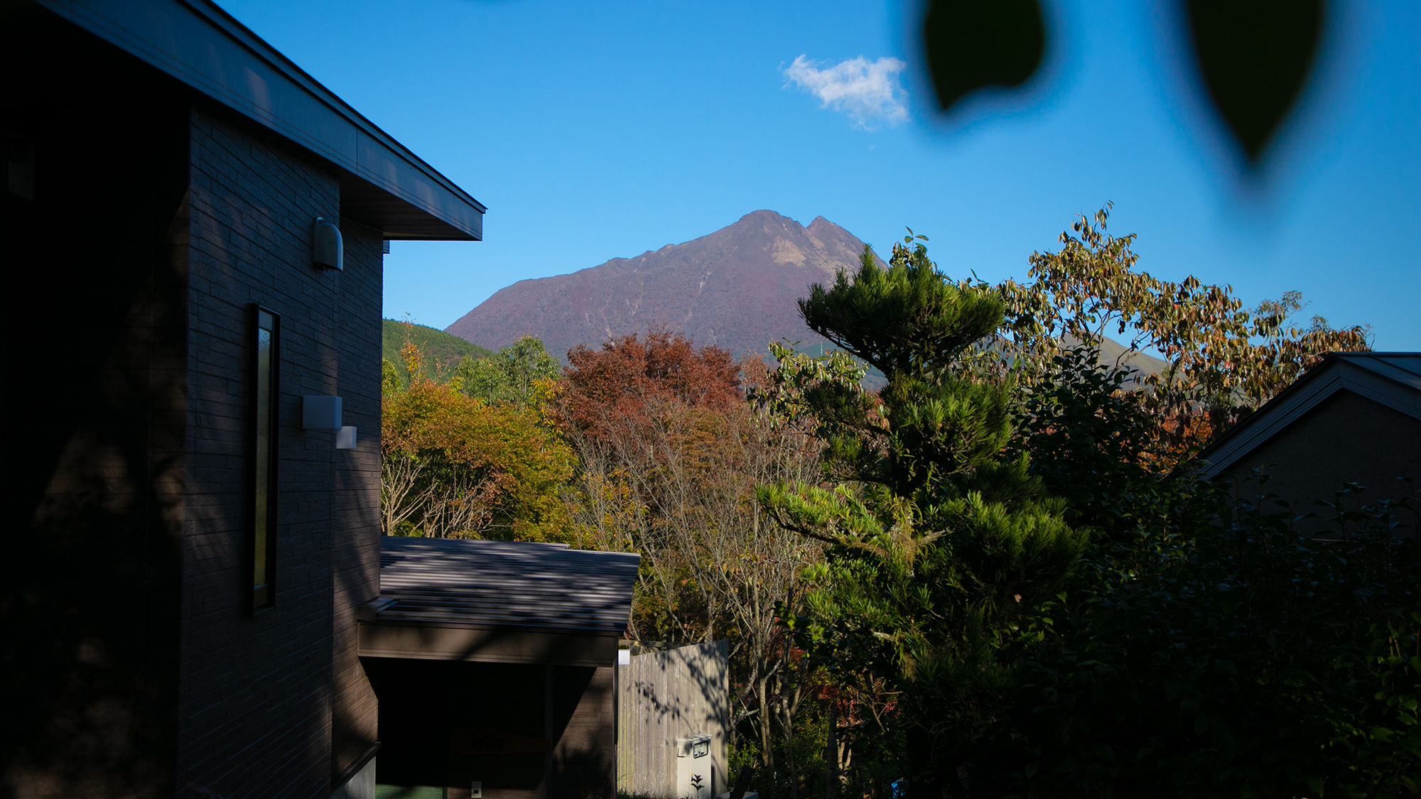 中庭から望む由布岳