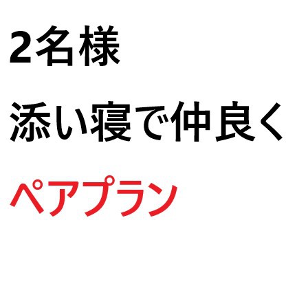 【素泊まり】　２名様でこの価格！☆ペアプラン☆　