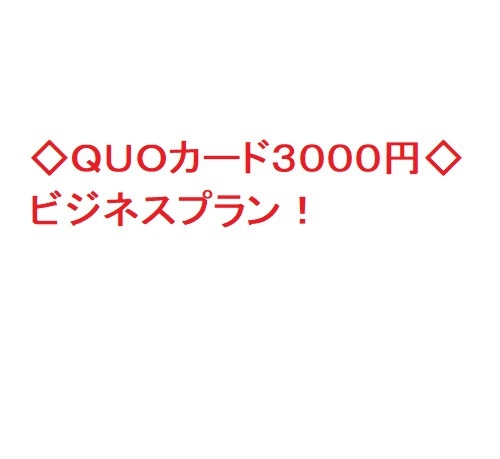◇ＱＵＯカード３０００円◇　ビジネスプラン！