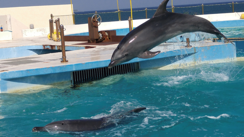 【ベーシックプラン】美ら海水族館すぐ近く！全室キッチン完備♪(素泊まり)