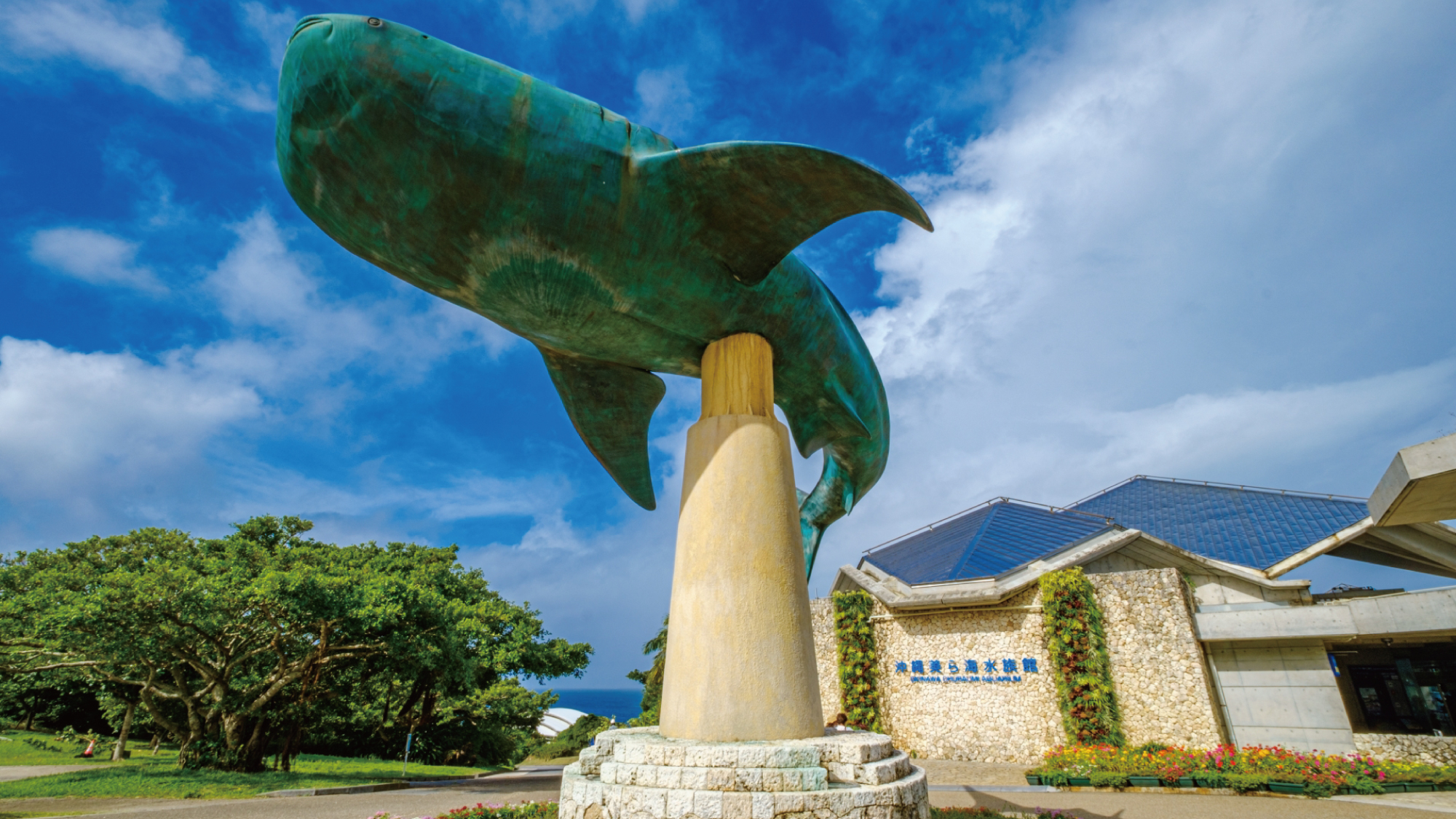 美ら海水族館