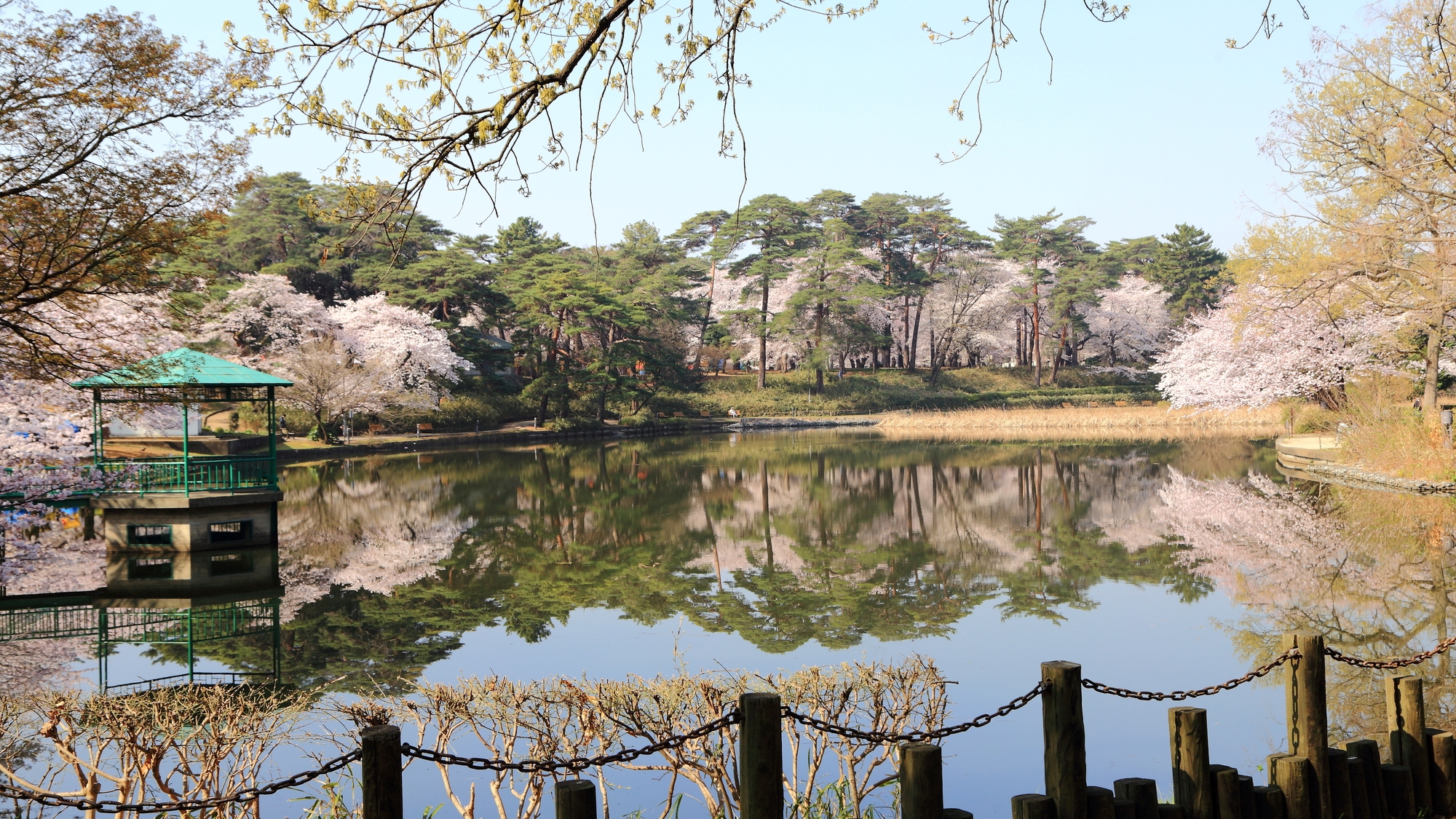 【当館から徒歩15分】広大な敷地で、動物園や博物館、四季折々の自然を楽しめる「大宮公園」