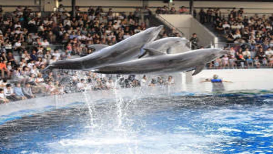 【京都水族館】