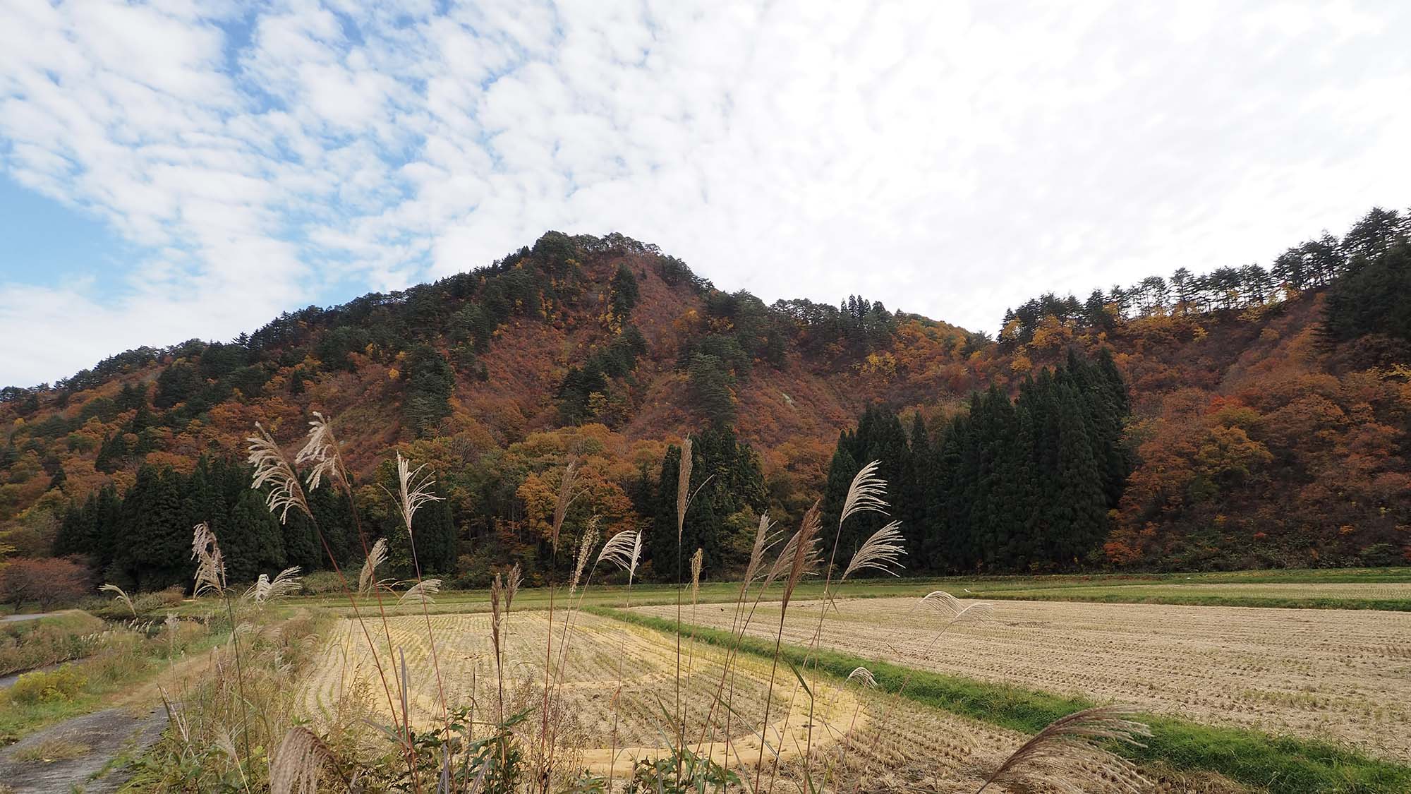 ・山々が色付く季節には紅葉もお楽しみいただけます。