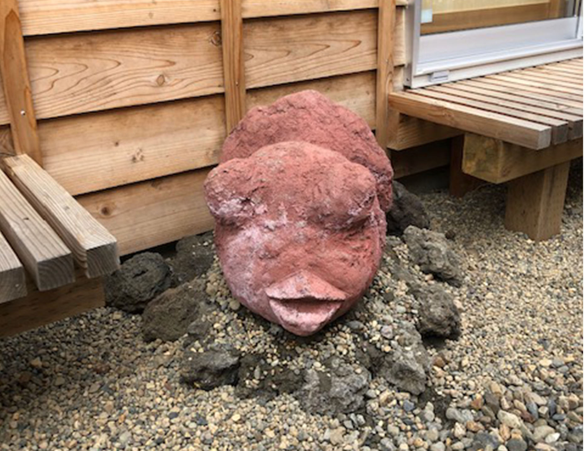 ブサイク金魚