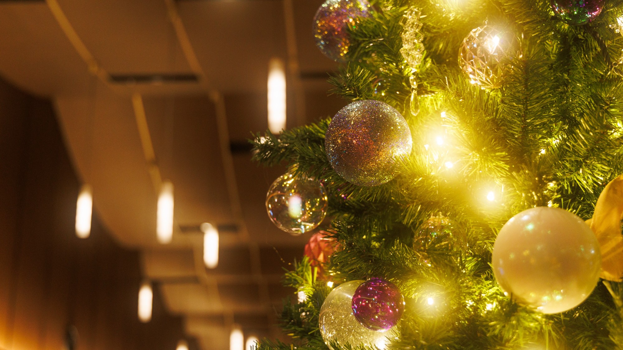 クリスマス装飾（ロビー）