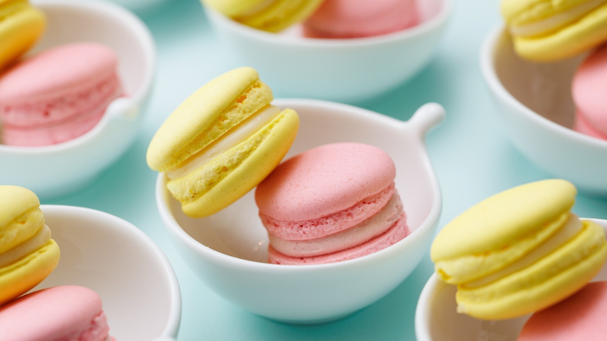 【2025年9月3日～期間限定】BUNS de BON VOYAGE! Buffet