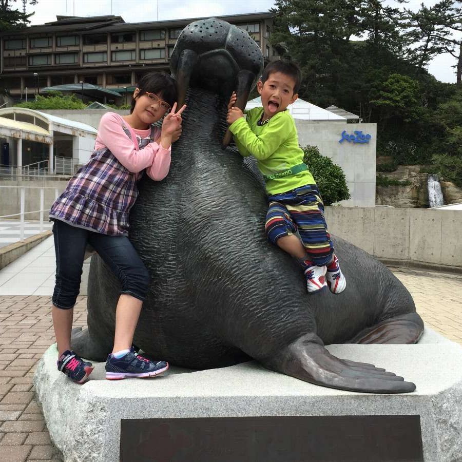 お子様に大人気！体験型水族館「城崎マリンワールド」へは当館から車で約120分