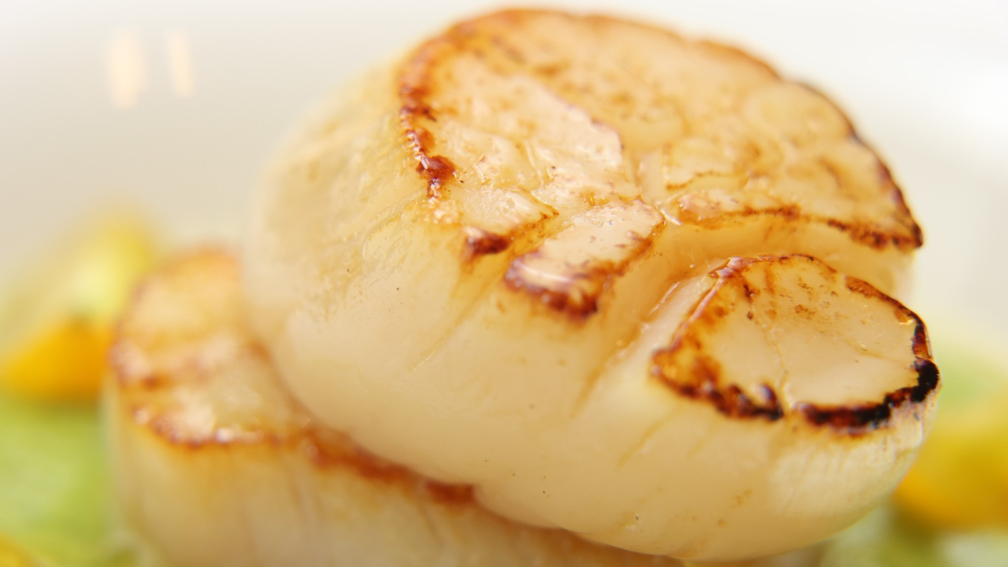 【夕食一例】北海道産ホタテとズッキーニのソース