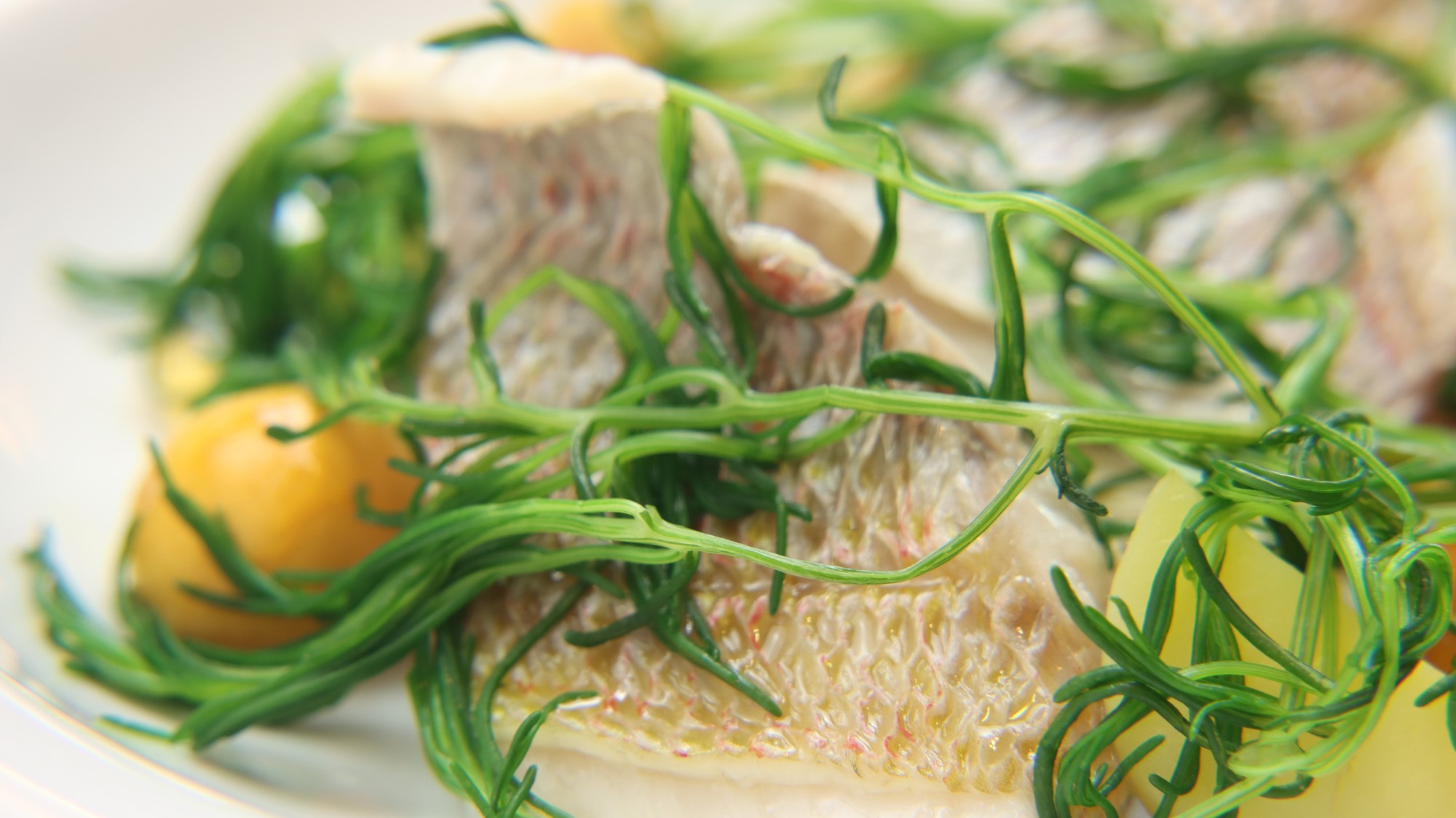 【夕食一例】真鯛のスチーム　焦がし醬油の泡ソース