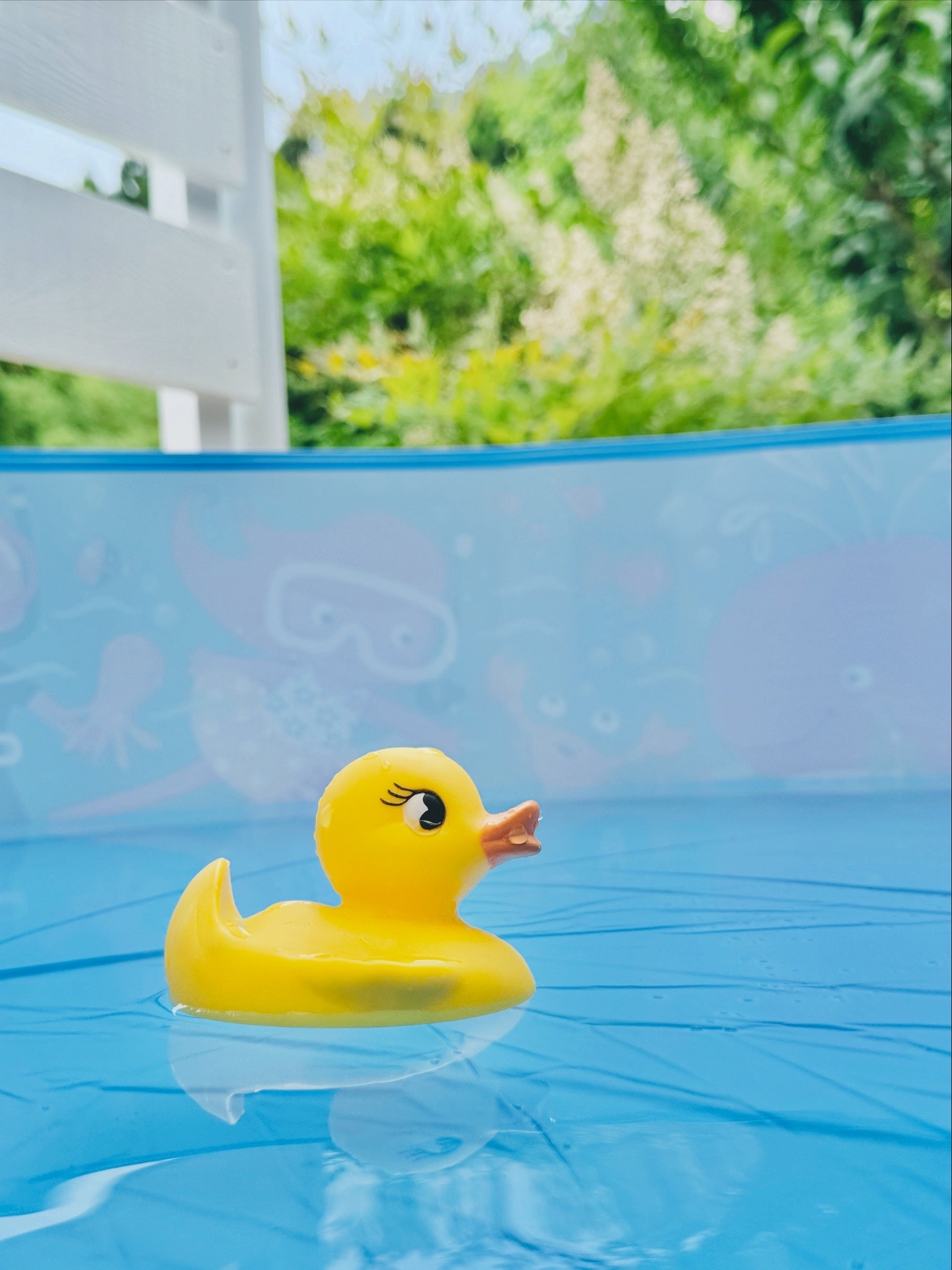 お子様用プール