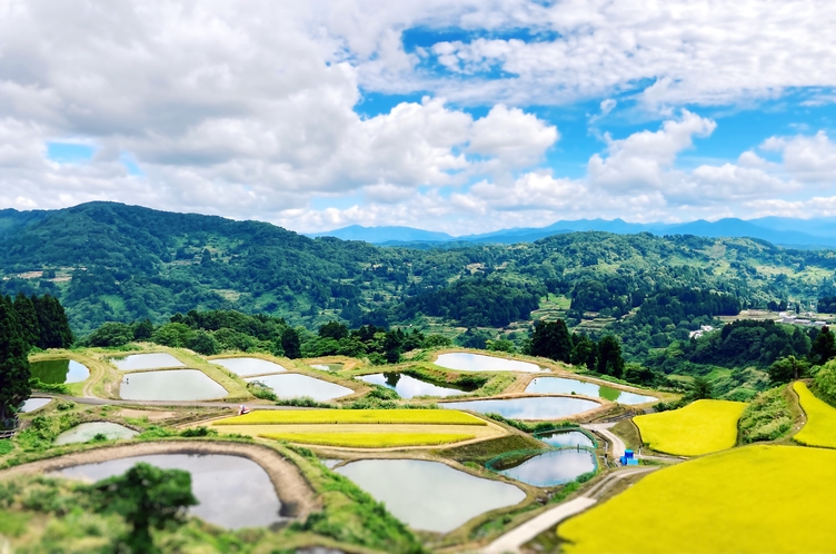 長岡市山古志地域