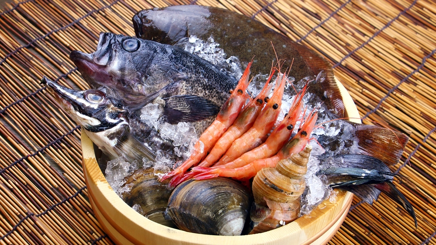 料理人である主が毎日市場に通って買い付ける新鮮な地の魚