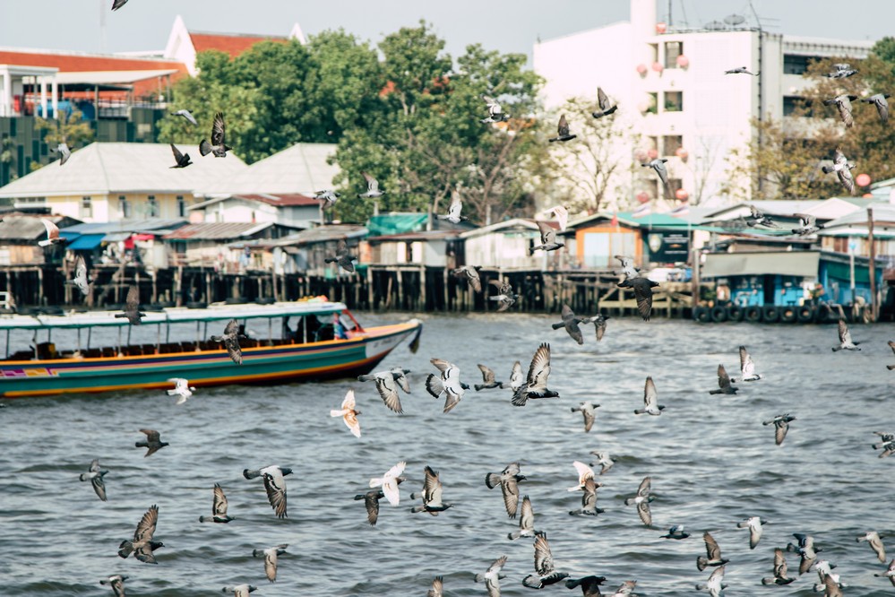 ホテルの近くのランマーク＆アクティビティ