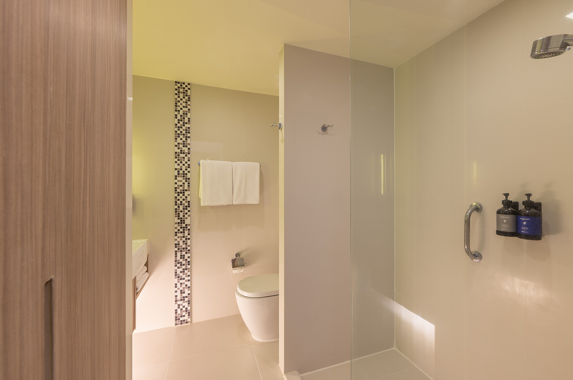 スタンダード プラス