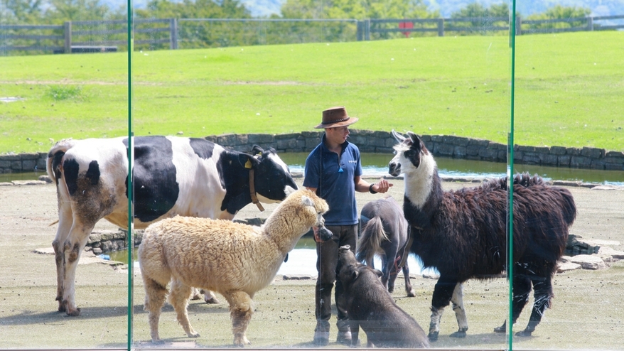 │【2食付】 車で約30分♪大自然のなかで動物とふれあい体験！マザー牧場チケット付プラン