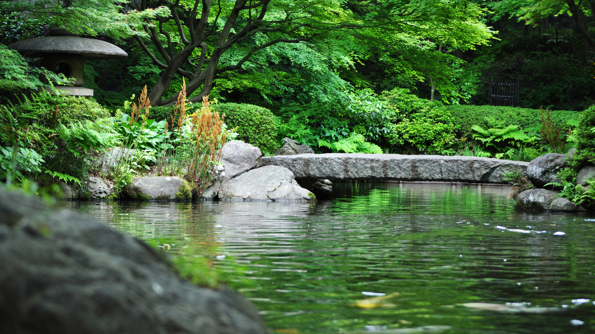 【周辺】池田山公園