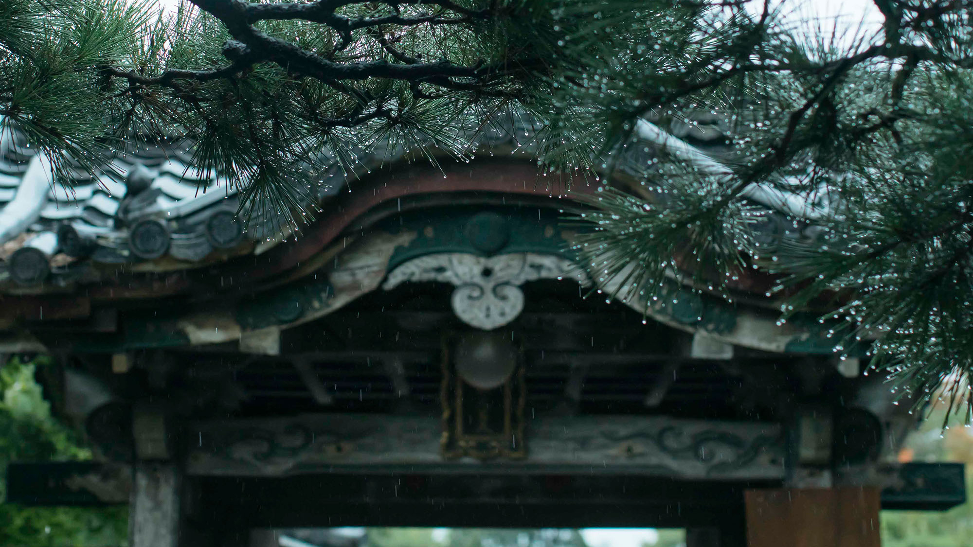 祇園 松