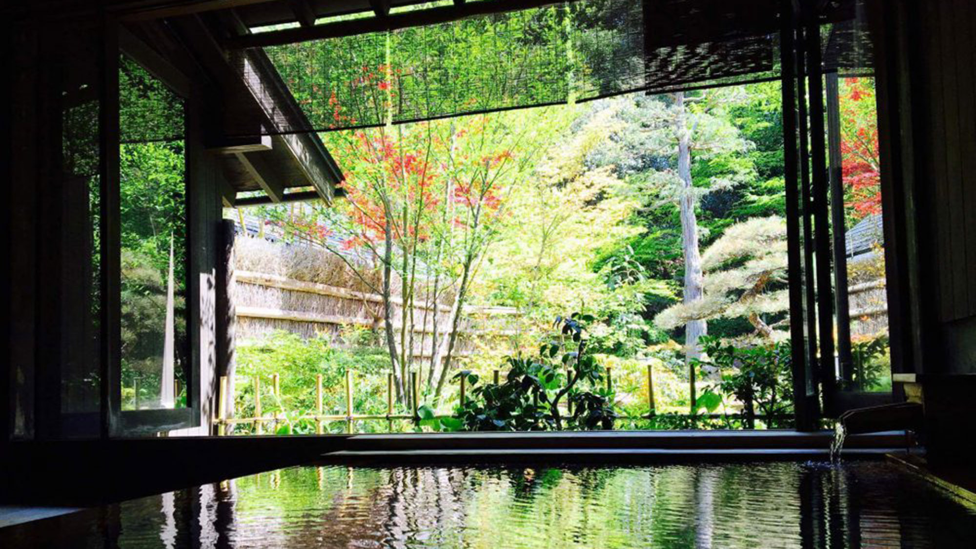 日本三美人の湯　湯の川温泉