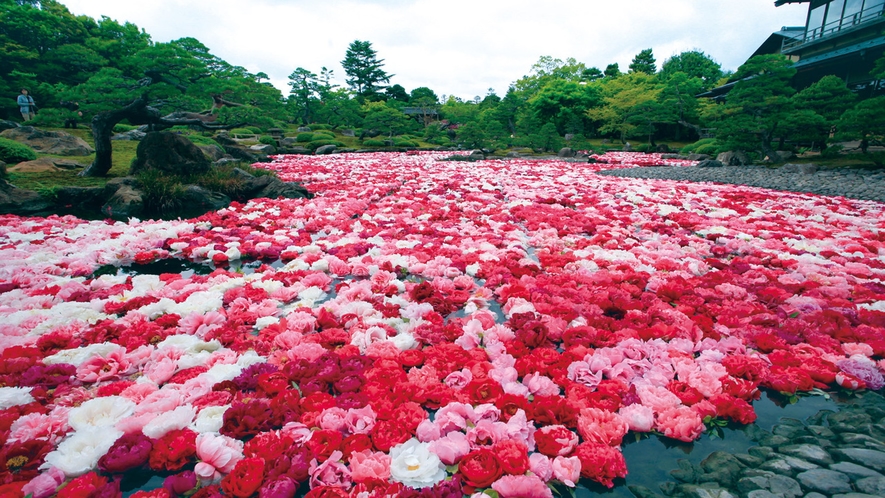 【由志園の庭園】由志園のある大根島は牡丹苗の日本一の生産地。四季の移ろいを楽しめます。
