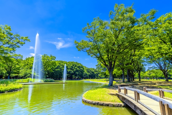【素泊まり】代々木公園駅から徒歩7分！コンビニ徒歩1分◎ 渋谷の喧騒を離れた奥渋でお寛ぎ下さい♪