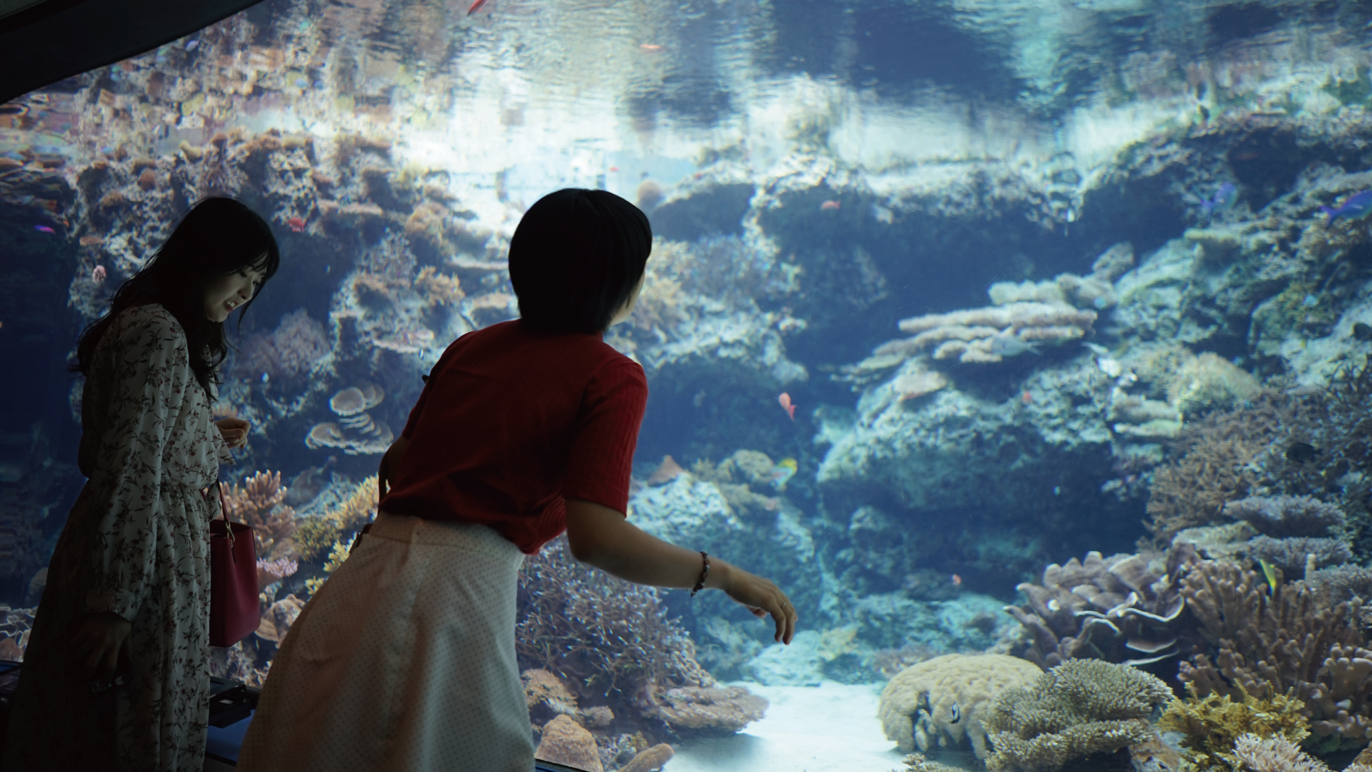 美ら海水族館まで車で1時間40分　バスで2時間半