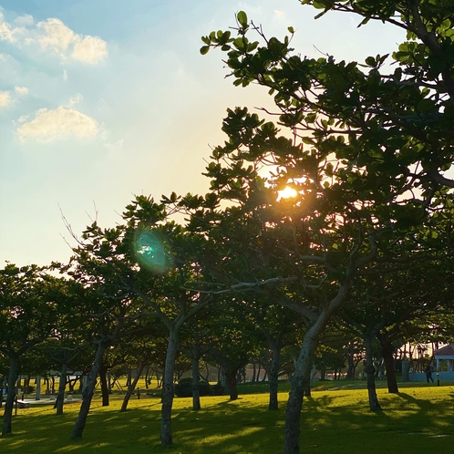 平和記念公園（車約30分）