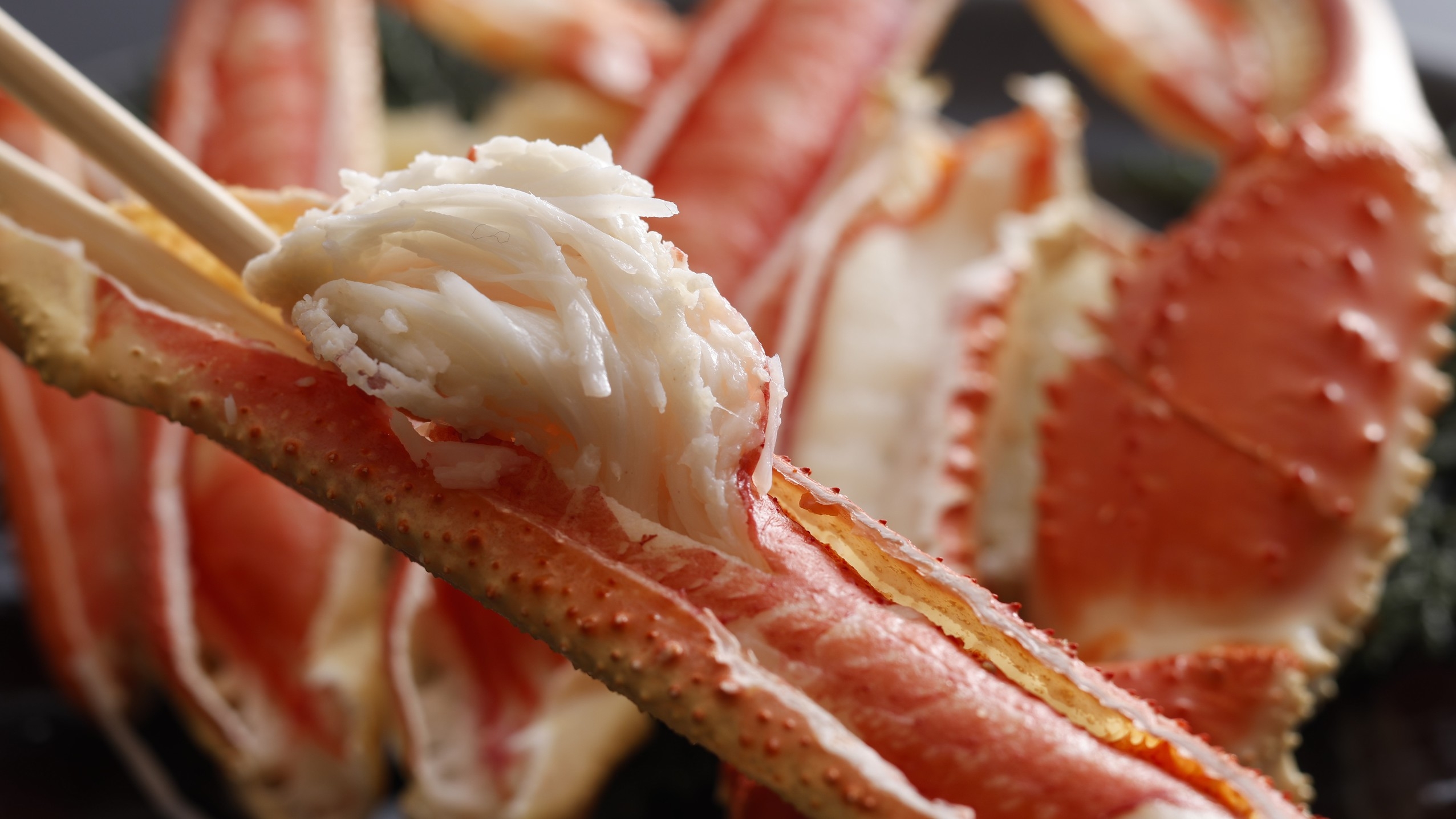 【大ズワイガニ1人1.5匹】満腹カニ会席◆カニ刺し、焼きガニ、カニ鍋、カニしゃぶ、天ぷら◆個室食