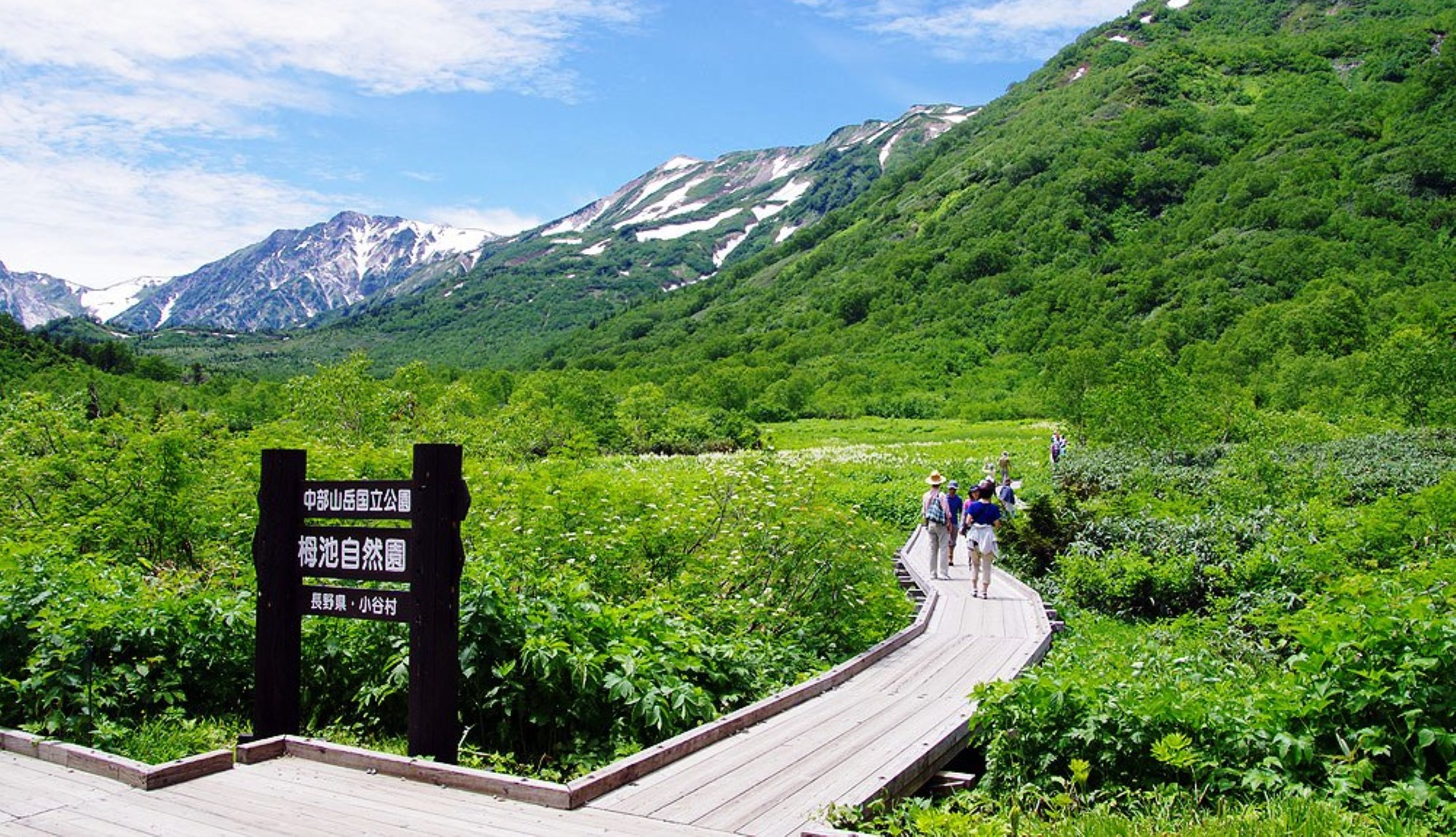 白馬三山を背後に広がる日本有数の高層湿原、栂池自然園。