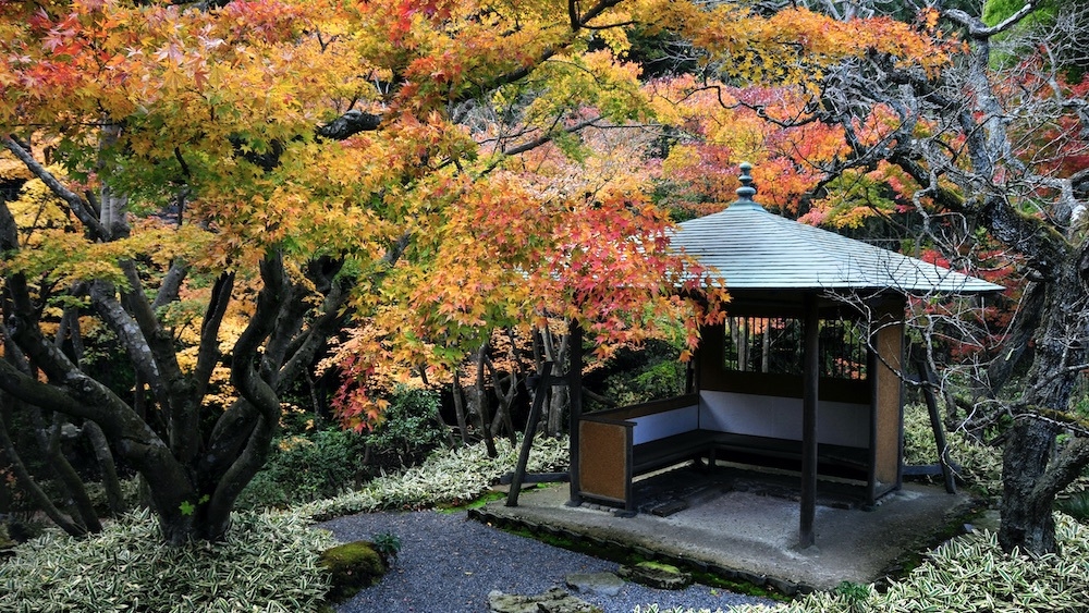 【一条恵観山荘入園券】四季の移ろいを感じる散策と、花手水を楽しむ大人の鎌倉時間【朝食無料】
