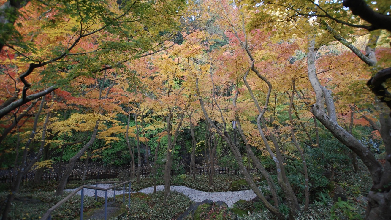 【一条恵観山荘入園券】四季の移ろいを感じる散策と、花手水を楽しむ大人の鎌倉時間【朝食無料】