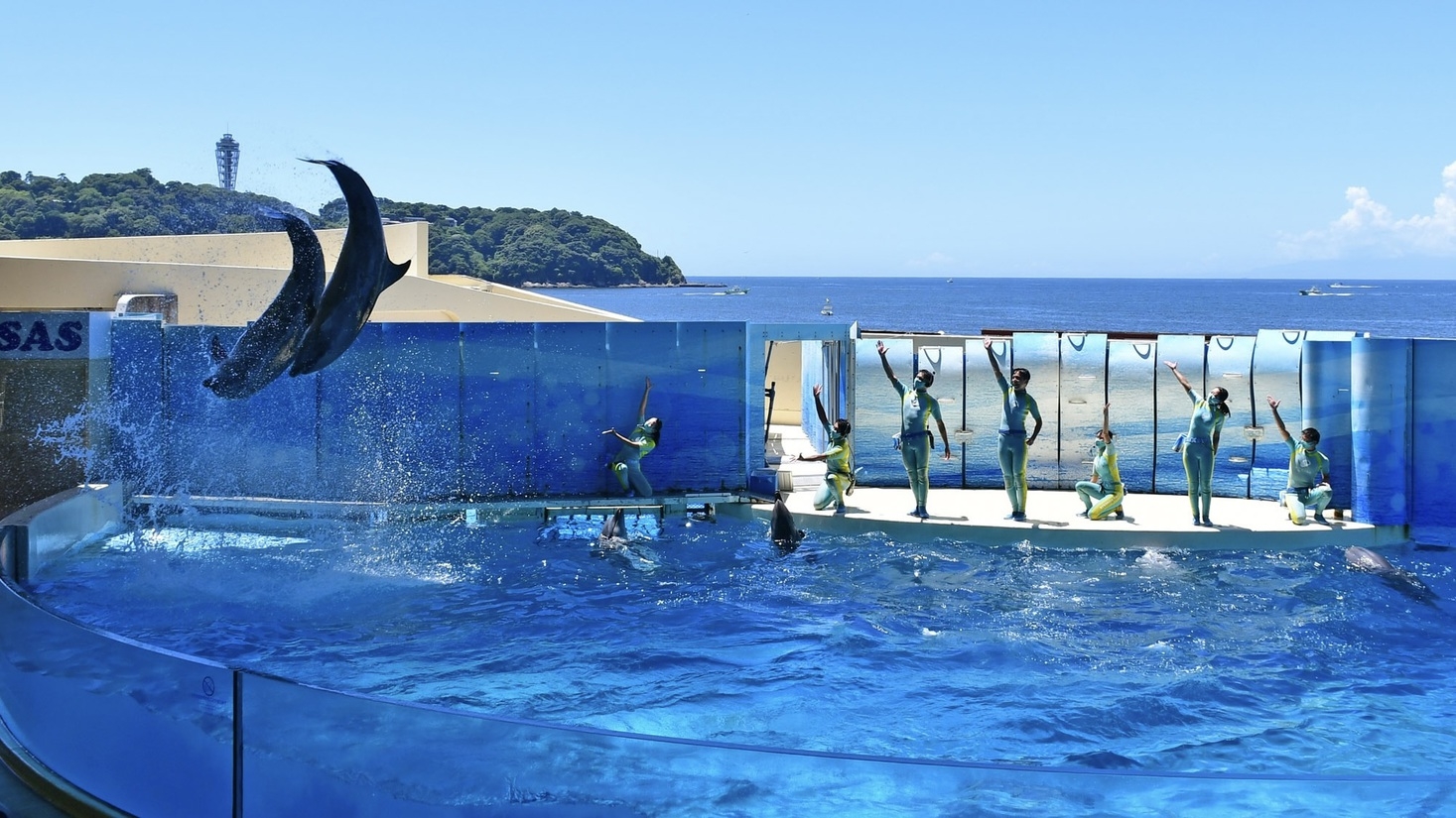 【新江ノ島水族館入館券付き】鎌倉からめぐる、海の休日【朝食無料】